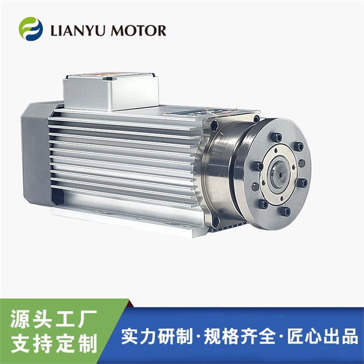 LIANYU高速精密 打磨電機 磨削 打孔 修邊 雕刻 方形風冷 三相380V 電主軸