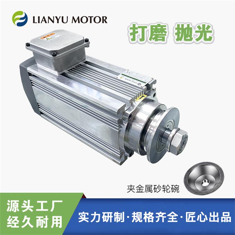 LIANYU MOTOR Aɰ݆P(pn)AƬ ȥëĥ늙C(j) 6000D(zhun)(lin)S