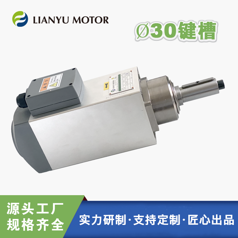 LIANYU聯(lián)昱電主軸 精密光軸電機(jī) 帶鍵槽傳動件動力頭 3.7千瓦主軸