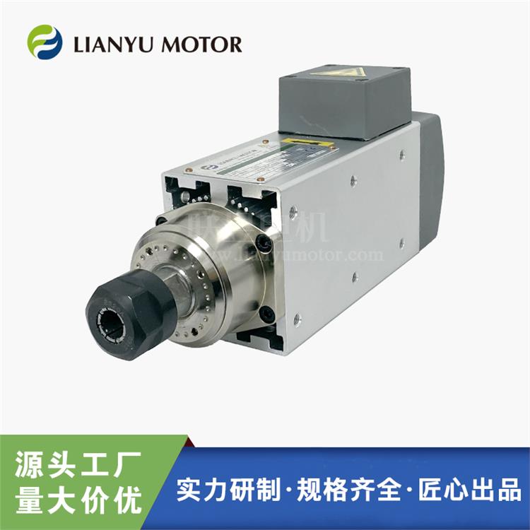 LIANYU MOTOR聯(lián)昱電主軸高速 攻牙攻絲雕刻沖孔電機 變頻調速9000轉