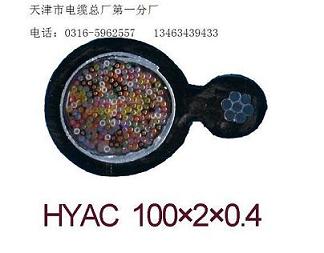 局用電纜 局用電纜HJVV 局用電纜HJVV價(jià)格