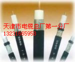 SYV75-9 視頻同軸電纜報(bào)價(jià) SYV75-7 75-12