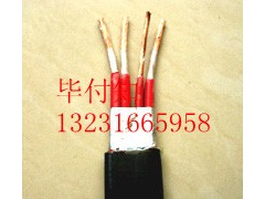 ZR-KYJV22 天聯(lián)牌計(jì)算機(jī)電纜勾通世界無(wú)極限