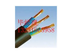 誠信生產(chǎn)MVV礦用電源線 4*2.5mm2畢經(jīng)理