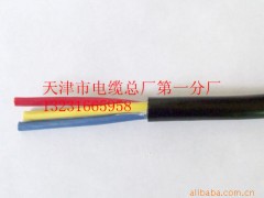 視頻監(jiān)控專用電源線 KVVP 2*1.0畢經(jīng)理