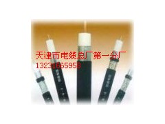 誠信銷售天聯(lián)牌SYV75-15-2射頻同軸電纜 一攬?zhí)煜? title=