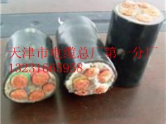 電源線25MM2,50MM2電力纜質(zhì)量最好價(jià)格最低