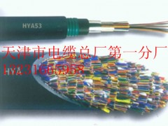 天津促銷鋼帶鎧裝通訊電纜 HYA53、HYAT53