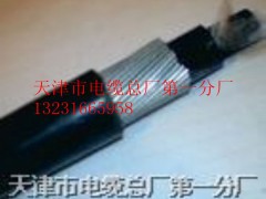 計(jì)算機(jī)屏蔽鋼絲電纜DJYVRP32計(jì)算機(jī)電纜勾通世界無(wú)極限