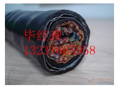 呼和浩特PTYA23鐵路信號(hào)電纜質(zhì)量最棒暢銷世界