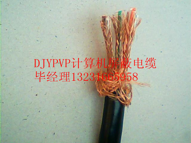 阻燃計算機屏蔽電纜ZR-DJYVP