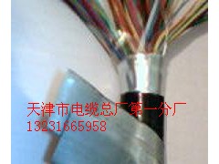 最新供應(yīng)鎧裝計(jì)算機(jī)電纜 DJYVP2-22 鎧裝計(jì)算機(jī)電纜