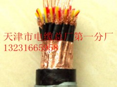 計(jì)算機(jī)銅箔屏蔽電纜/DJYPR2V（價(jià)格-廠家-報(bào)價(jià)）