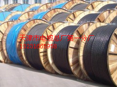 通過ISO9001:2008質(zhì)量體系認(rèn)PTYA56X1鐵路信號電纜