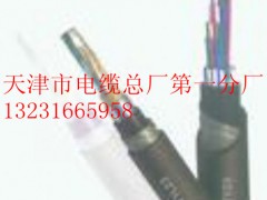 【追求卓越的品質(zhì).創(chuàng)造世界品牌】PTYV4X1鐵路信號電纜