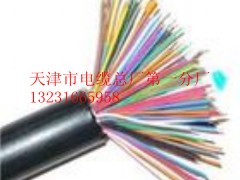 全塑通信電纜HYA 20*2*0.6全塑通信電纜