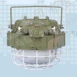 DGS55/127W(A)隔爆型無(wú)極燈,礦用無(wú)極燈,55W無(wú)極燈