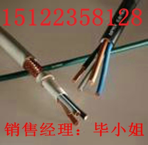 供應(yīng)礦用信號(hào)電纜MHYVRP-屏蔽信號(hào)電纜PUYVRP價(jià)格/報(bào)價(jià)