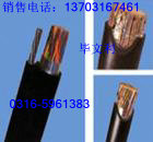 礦用通信電纜-30對(duì)_50對(duì)_80對(duì)