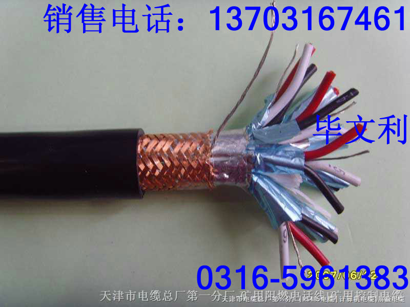 MHYVRP買優(yōu)質(zhì)MHYAV MHYV電纜到天津天聯(lián)電纜集團(tuán)