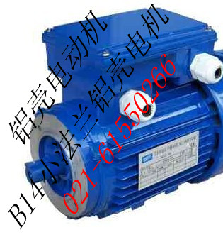 鋁殼電動(dòng)機(jī)120W|0.12千瓦鋁殼電動(dòng)機(jī)（圖）