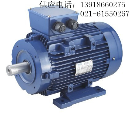 0.75KW同步電動(dòng)機(jī) 0.75KW永磁同步電動(dòng)機(jī)廠家