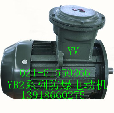 YB2-250M-4電動(dòng)機(jī)|YB2-250M-4防爆電機(jī)經(jīng)銷