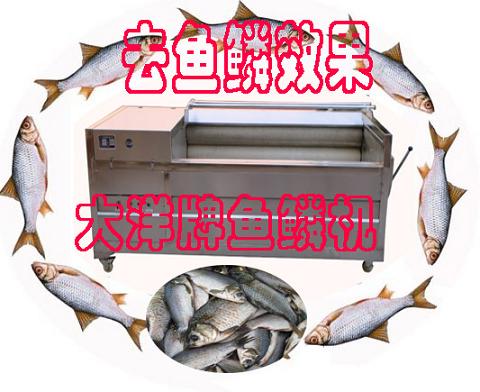 新款魚鱗機設備、去魚鱗機、脫魚鱗機