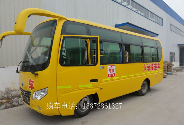 校車價(jià)格、幼兒園校車價(jià)格，小學(xué)生校車價(jià)格，楚風(fēng)6.6米校車價(jià)格