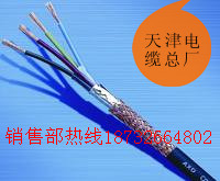 天聯(lián)PTYY信號(hào)電纜廠家直銷 打造PTYY信號(hào)電纜精品報(bào)價(jià)