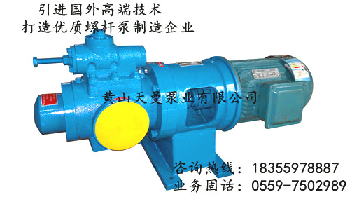 NSNF三螺桿泵，NSNF40R46U12.1W23螺桿泵