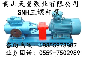 SNH2900R46U12.1W21螺桿泵，主機(jī)潤滑油泵