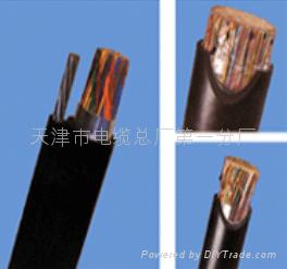 阻燃計(jì)算機(jī)屏蔽電纜 ZRB-DJYP2VP2-32-24*2