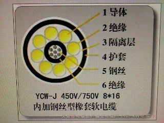 YCW野外用電纜 YCW防油污橡套電纜