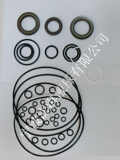 力士樂A11VO250液壓泵修理包