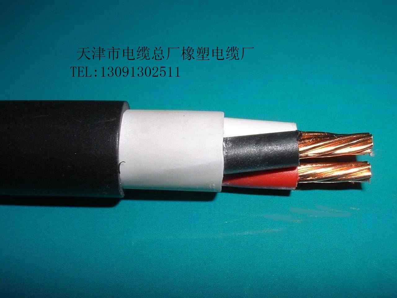 耐高溫計算機電纜NH-DJFVP DJFVP22 DJFVP32