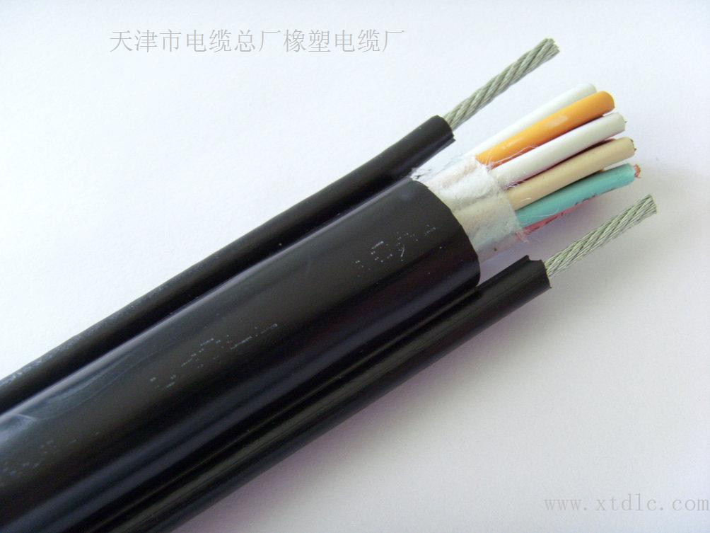 RS485電纜 RS-485電纜報(bào)價(jià) RS485總線電纜生產(chǎn)廠家