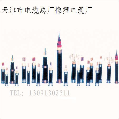 ZR-DJYVP小貓電纜，DJYVRP型計(jì)算機(jī)專用電纜線