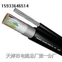 供應(yīng)電話線CPEV 音頻電纜CPEV-S 20＊2＊0.8 25＊