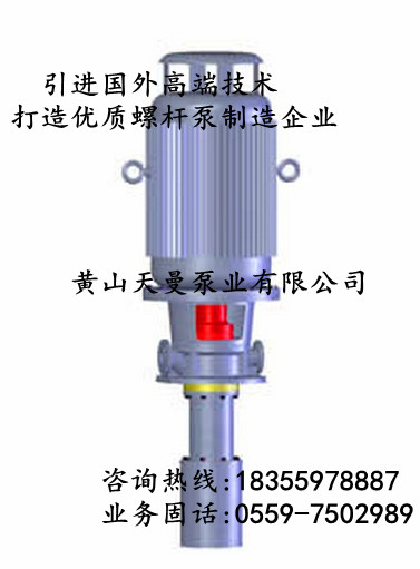 廣西麻石水電站機(jī)組改造工程專用3GR85×3C2三螺桿泵