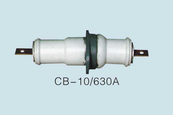 品質(zhì)求生產(chǎn)CB-10KV/630A%CB-10KV/630