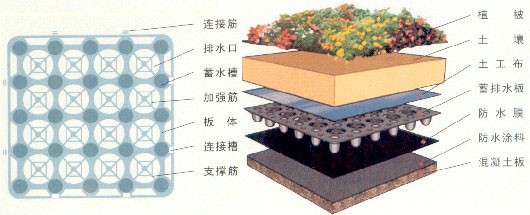 青島屋頂綠化蓄排水板臨沂排水板限時(shí)銷售