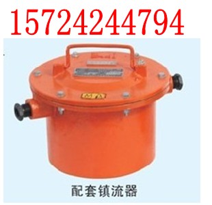 ZBD175/127鎮(zhèn)流器，礦用投光燈鎮(zhèn)流器