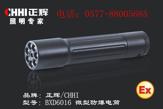 供應(yīng)浙江正輝照明BXD6016微型防爆電筒