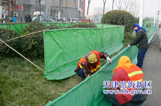 防寒綠布廠家-防寒布價格-花草防寒布實(shí)景圖