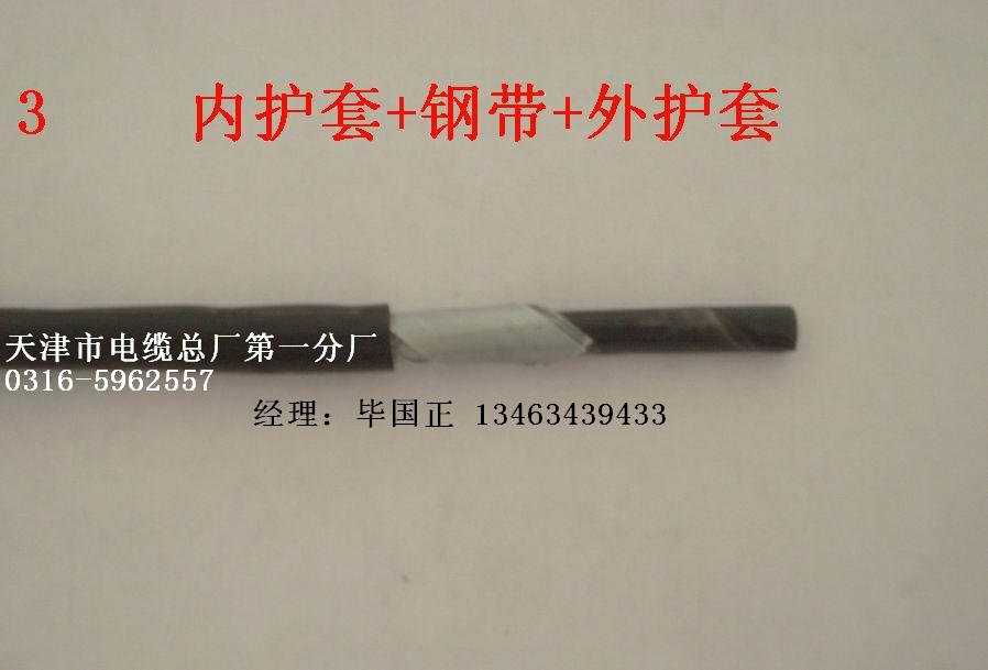 ZR-IA-KZYVP31 本安防爆電纜 細鋼絲鎧裝電纜