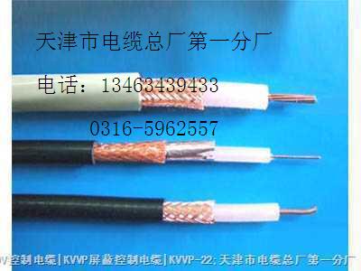 SYWV-75-7  電纜分配系統(tǒng)用物理發(fā)泡同軸電纜