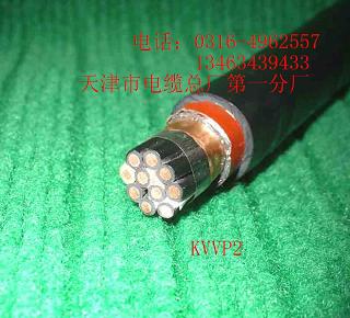 阻燃變頻器電纜 ZR-BPYJVP3×50+3×10