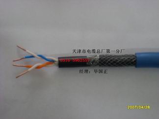 礦用阻燃通訊電纜 MHYAV-50×2×0.8