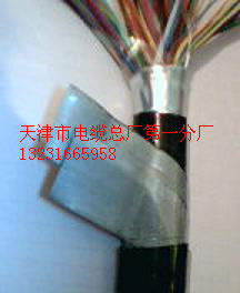 暢銷HYA23-20*2*0.5<<鎧裝通信電纜>>